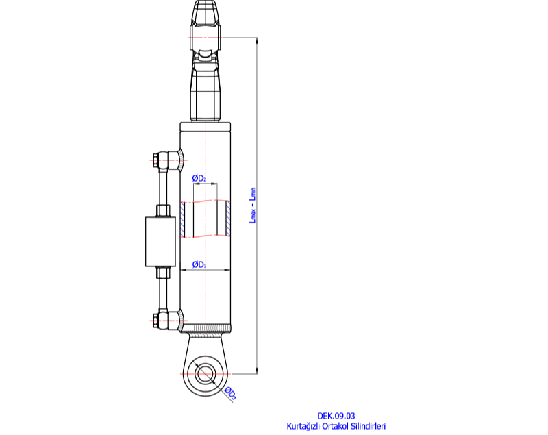 Kurtağızlı Ortakol Silindirleri (Dana Gözlü)